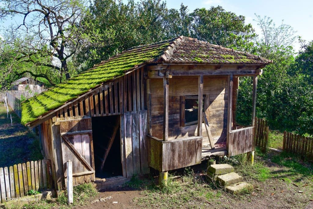 ოდები აბაშიდან – გიორგი ნიკოლავას ფოტორეპორტაჟი - image 5