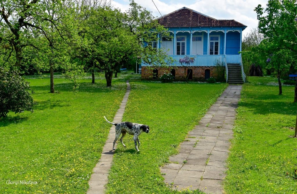 ოდები აბაშიდან – გიორგი ნიკოლავას ფოტორეპორტაჟი - image 9