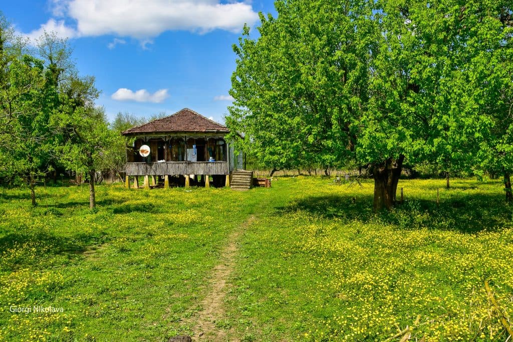 ოდები აბაშიდან – გიორგი ნიკოლავას ფოტორეპორტაჟი - image 10
