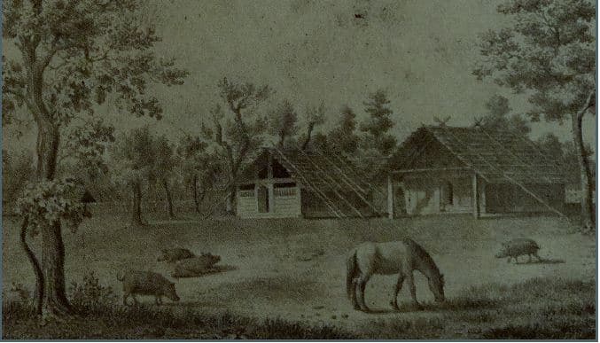 რა იყო „დოდგიმირი“ – დაკარგული ტრადიცია სამეგრელოში