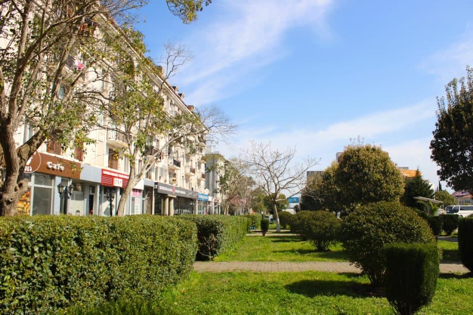 ფოთის მუნიციპალური სერვისების ცენტრი ქალაქის მასშტაბით სხვადასხვა სამუშაოებს ახორციელებს