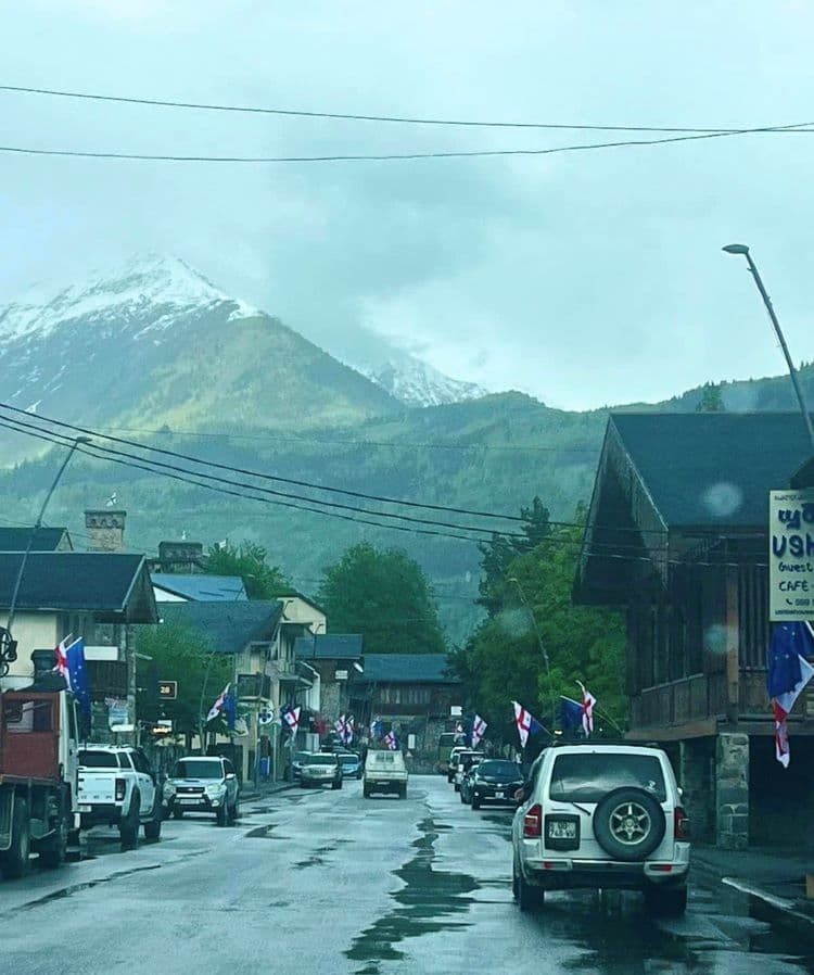 ევროკავშირის დღესთან დაკავშირებით სამეგრელო-ზემო სვანეთის მუნიციპალიტეტები საქართველოს და ევროპის დროშებით მოირთო - image 2