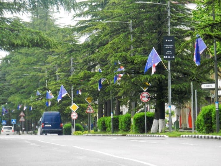 ევროკავშირის დღესთან დაკავშირებით სამეგრელო-ზემო სვანეთის მუნიციპალიტეტები საქართველოს და ევროპის დროშებით მოირთო - image 10