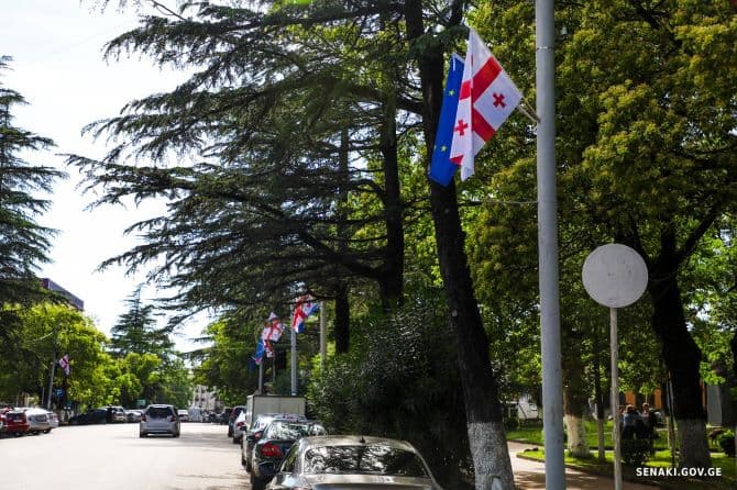 ევროკავშირის დღესთან დაკავშირებით სამეგრელო-ზემო სვანეთის მუნიციპალიტეტები საქართველოს და ევროპის დროშებით მოირთო - image 11