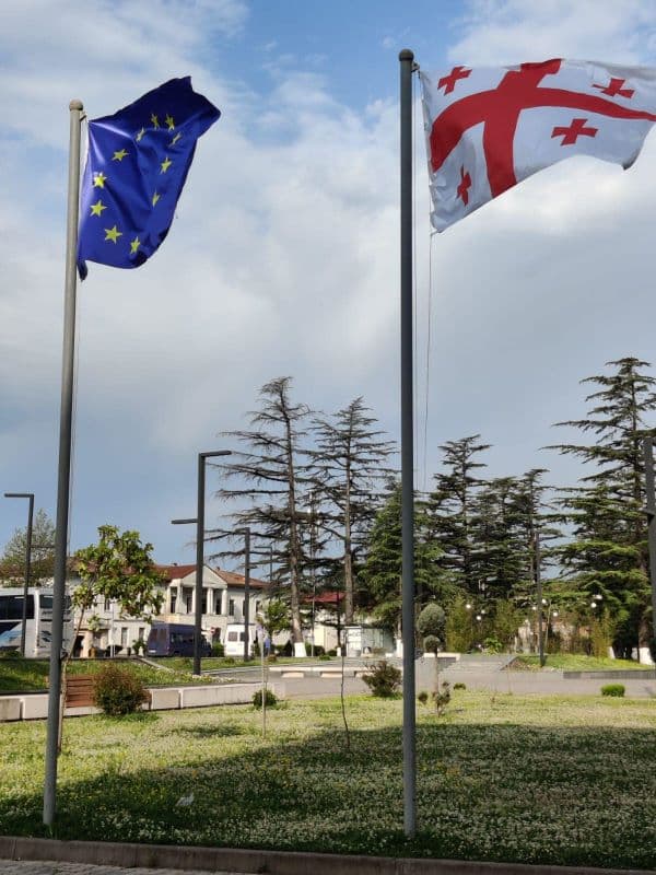 ევროკავშირის დღესთან დაკავშირებით სამეგრელო-ზემო სვანეთის მუნიციპალიტეტები საქართველოს და ევროპის დროშებით მოირთო - image 15