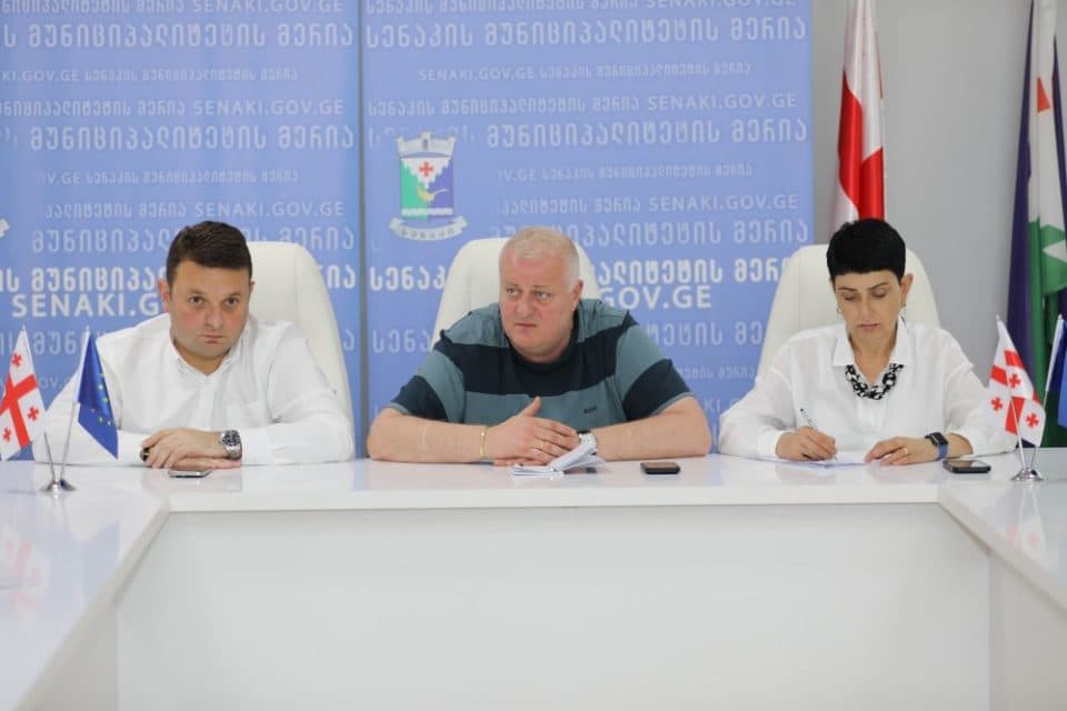 სახელმწიფო რწმუნებული სენაკის ადმინისტრაციულ ერთეულებში მერის წარმოამდგენლებს შეხვდა