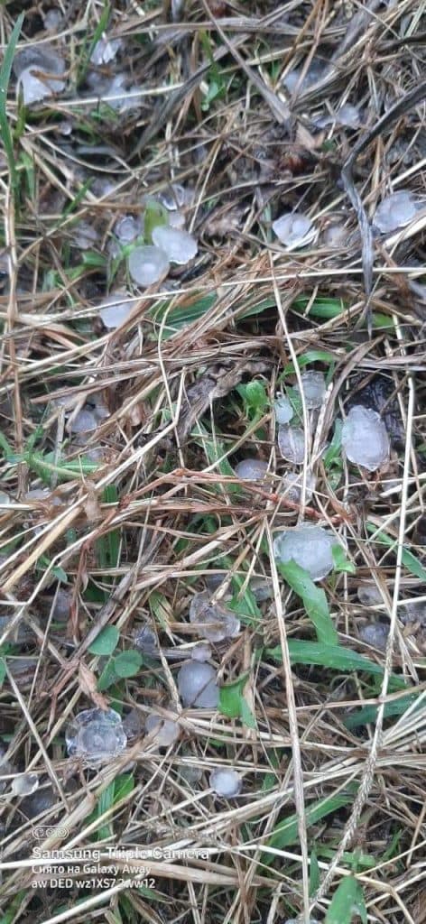 წალენჯიხის მუნიციპალიტეტში რამდენიმე წუთიანმა ძლიერმა ქარმა და სეტყვამ პრობლემები შექმნა - image 2