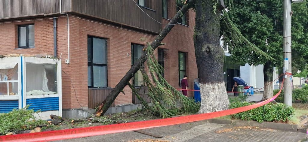 უხვმა ნალექმა და ქარბორბალამ ზუგდიდში პრობლემები შექმნა - image 7