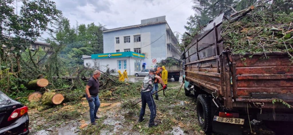 უხვმა ნალექმა და ქარბორბალამ ზუგდიდში პრობლემები შექმნა - image 6