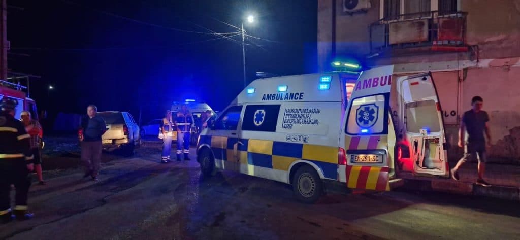 ზუგდიდში 2 მცირეწლოვანი ხანძარს ემსხვერპლა - image 3