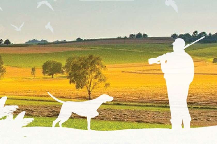 გადამფრენ ფრინველებზე ნადირობის სეზონი 24 აგვისტოს გაიხსნება