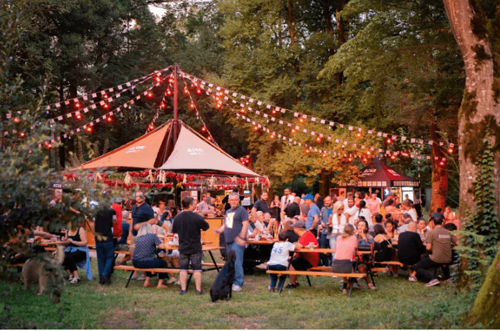სალომე ფაცია – ვფიქრობ, „გემო ფესტი“ იდეალურად ჩატარდა, ხალხი გაეცნო ზუგდიდს, ჩვენს კერძებს, მეგრულ კულინარიას