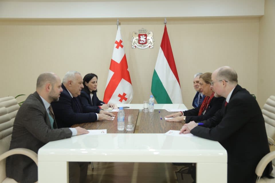 დავით ვერავა უნგრეთის ელჩს ანა მარია შიკოს შეხვდა