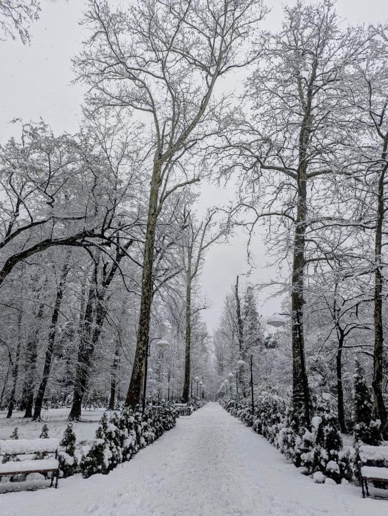 დათოვლილი ზუგდიდი [ფოტორეპორტაჟი] - image 3