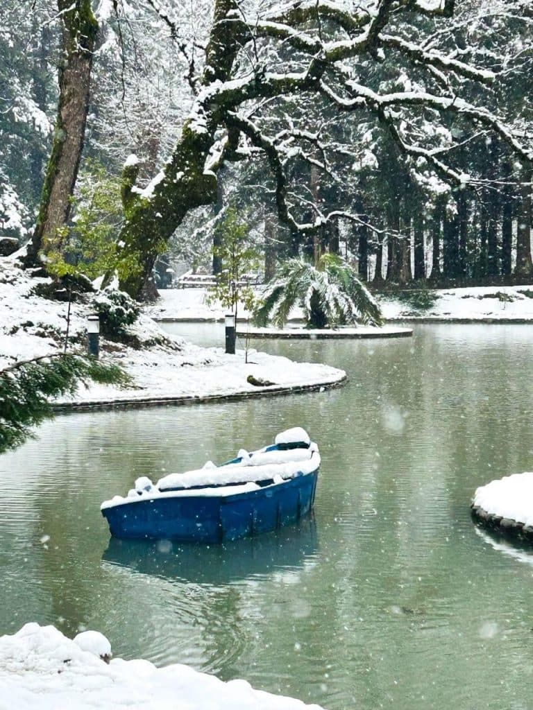 დათოვლილი ზუგდიდი [ფოტორეპორტაჟი] - image 4