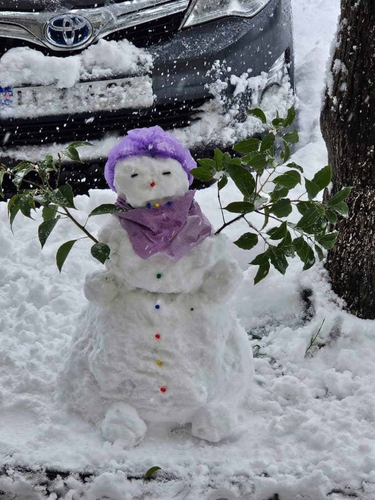 თოვლის ბაბუები ფოთიდან [ფოტორეპორტაჟი] - image 7