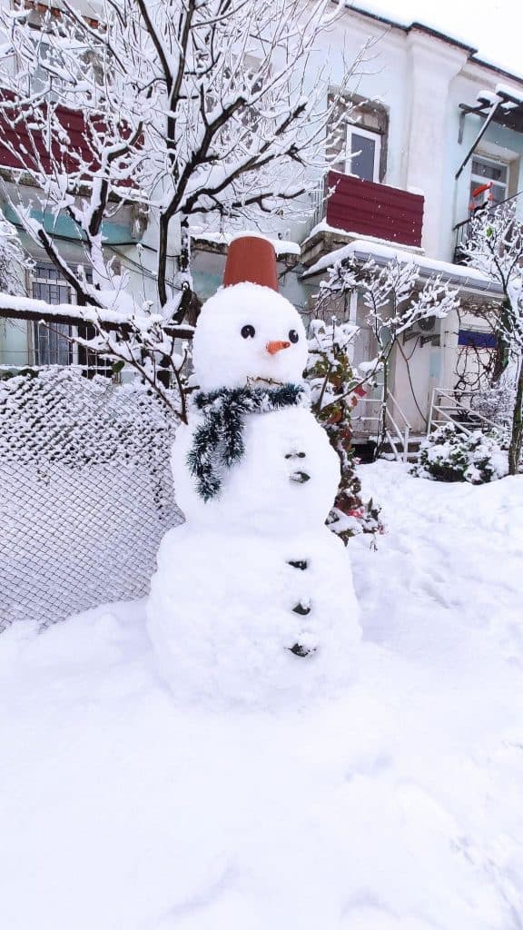 თოვლის ბაბუები ფოთიდან [ფოტორეპორტაჟი] - image 10