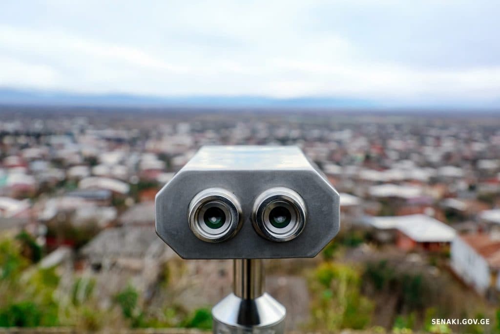 სენაკში რუხი ყანჩების ბუდობის ადგილას ბინოკლი განთავსდა [ფოტო] - image 2