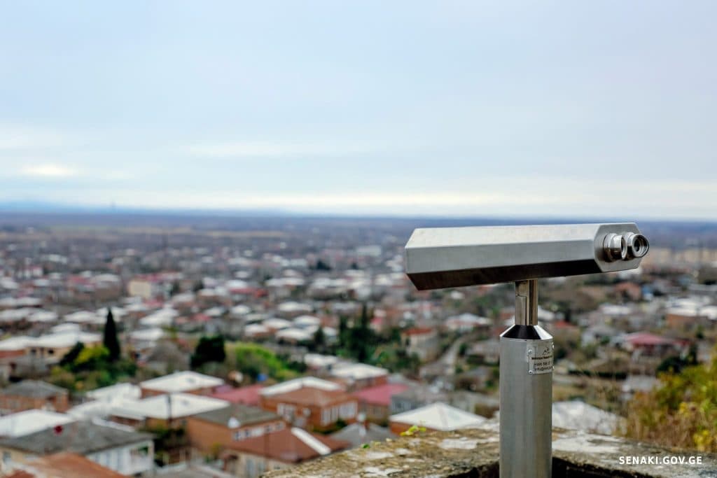 სენაკში რუხი ყანჩების ბუდობის ადგილას ბინოკლი განთავსდა [ფოტო] - image 4