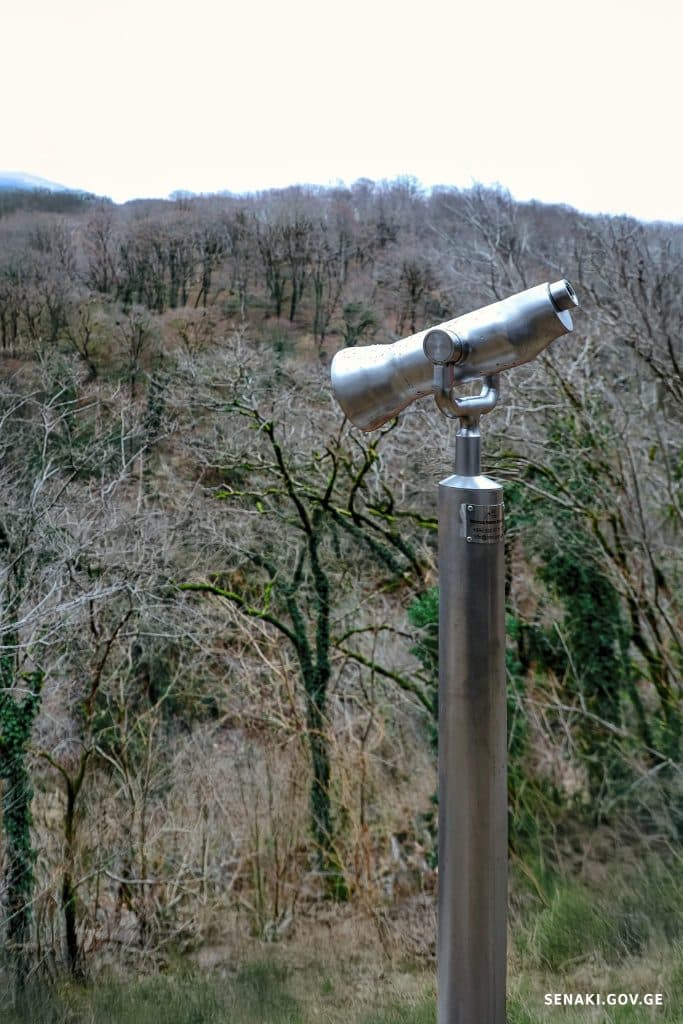 სენაკში რუხი ყანჩების ბუდობის ადგილას ბინოკლი განთავსდა [ფოტო] - image 6