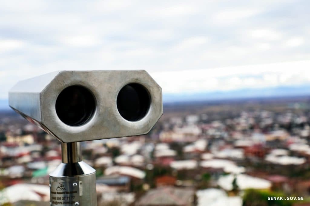 სენაკში რუხი ყანჩების ბუდობის ადგილას ბინოკლი განთავსდა [ფოტო] - image 3