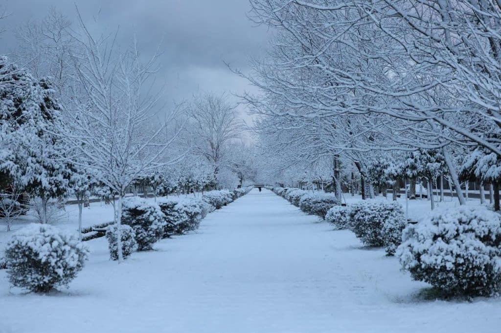 დათოვლილი საქართველოს კარიბჭე [ფოტორეპორტაჟი] - image 8