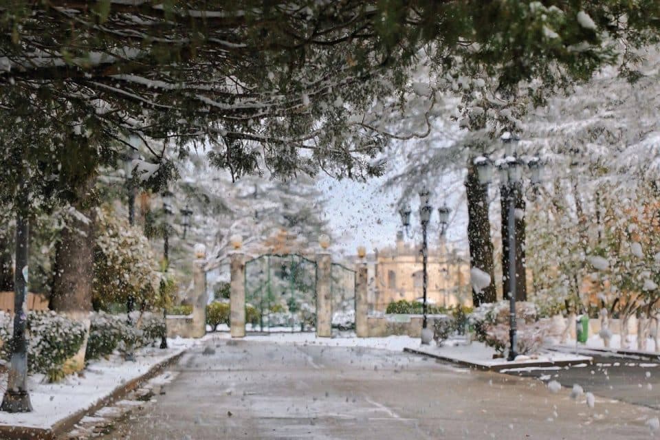 ზუგდიდში სკოლების და ბაღების ნაწილმა სასწავლო პროცესი შეაჩერა