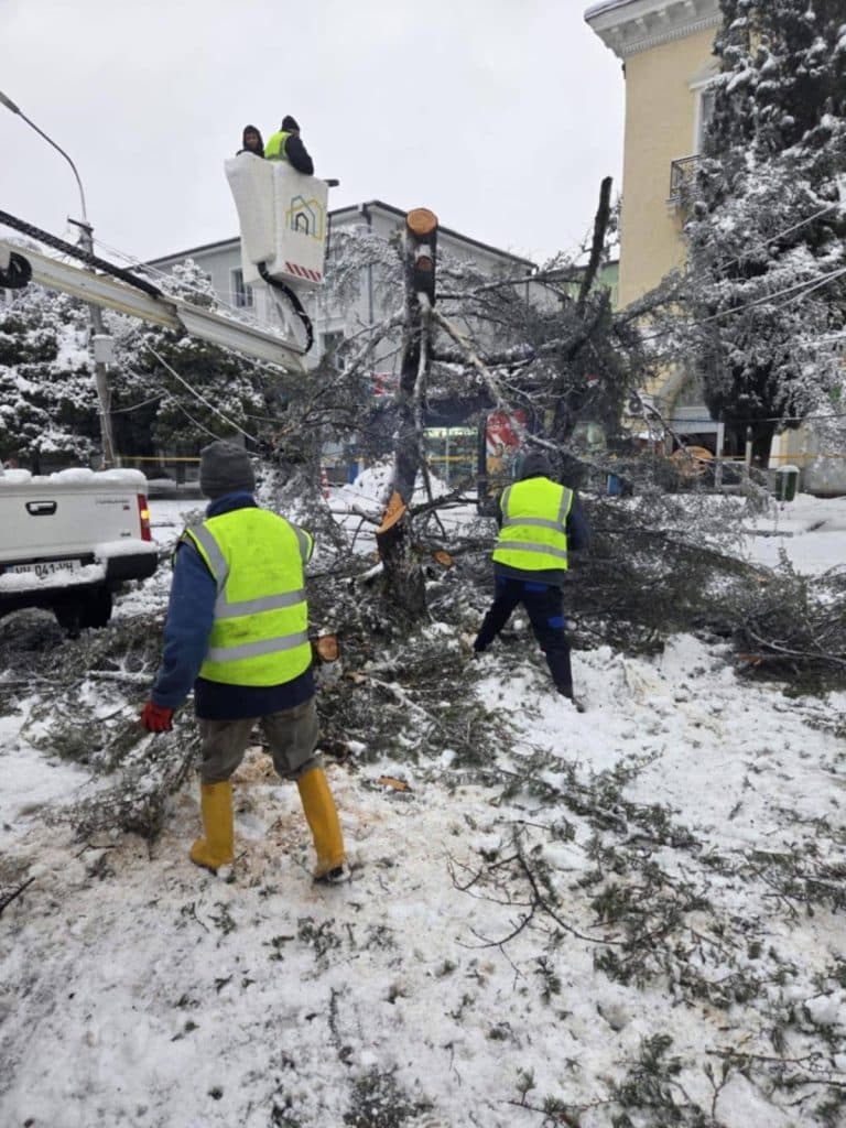 ზუგდიდის მერია: მიმდონარეობს სოფლის შიდა გზების გაწმენდითი სამუშაოები - image 3