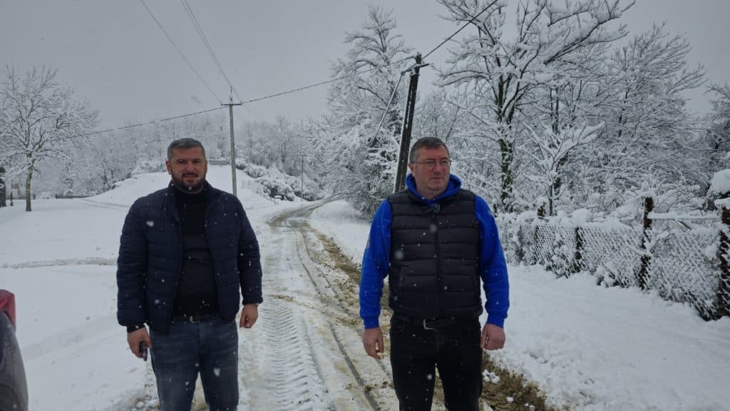 ჩხოროწყუში დიდთოვლობის შედეგად დაზიანებული ელექტროსისტემის აღდგენა მიმდინარეობს - image 3