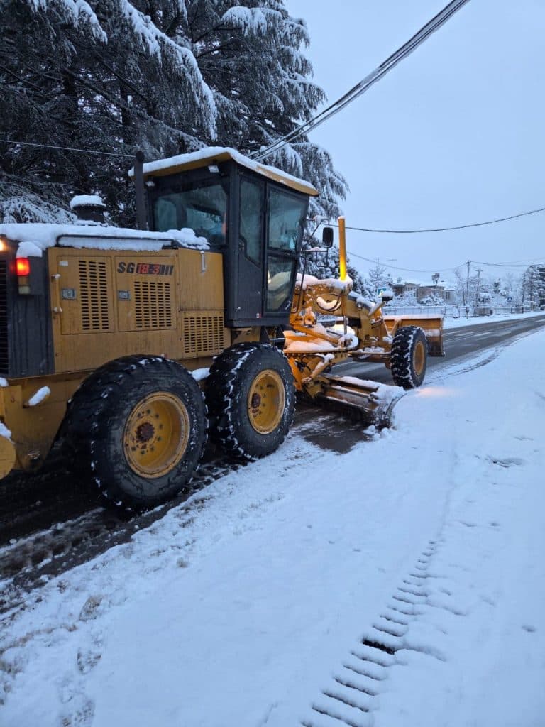 ზუგდიდში გაწმენდით სამუშაოებში ტექნიკასთან ერთად ცოცხალი ძალაც მონაწილეობს - image 2