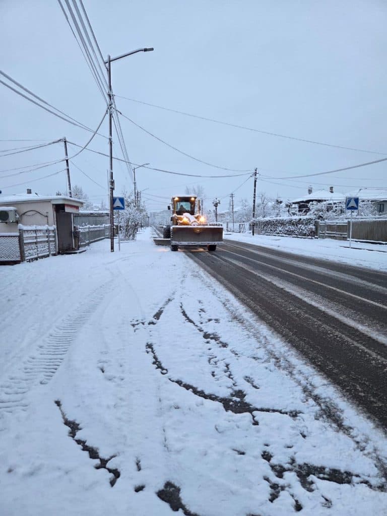 ზუგდიდში გაწმენდით სამუშაოებში ტექნიკასთან ერთად ცოცხალი ძალაც მონაწილეობს - image 3