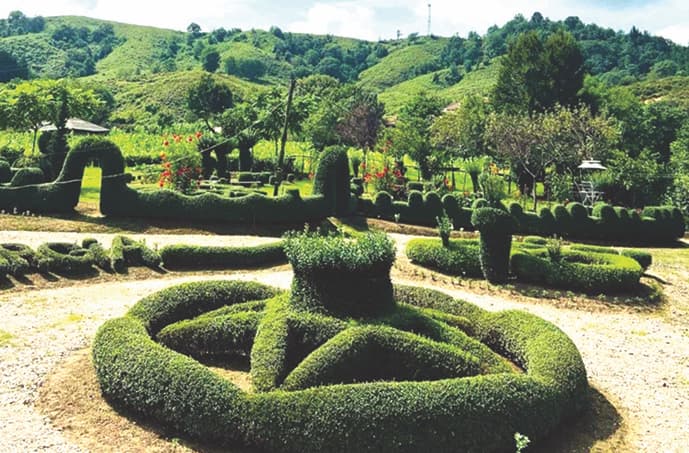 აკაკი ჯიჯელავას დეკორატიული სილამაზე სოფელ ტალერში [ფოტო/ვიდეო]