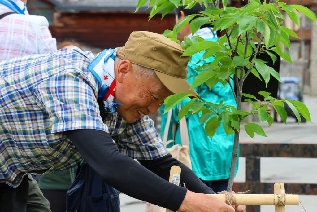 მესტიაში საკურები დარგეს - image 2