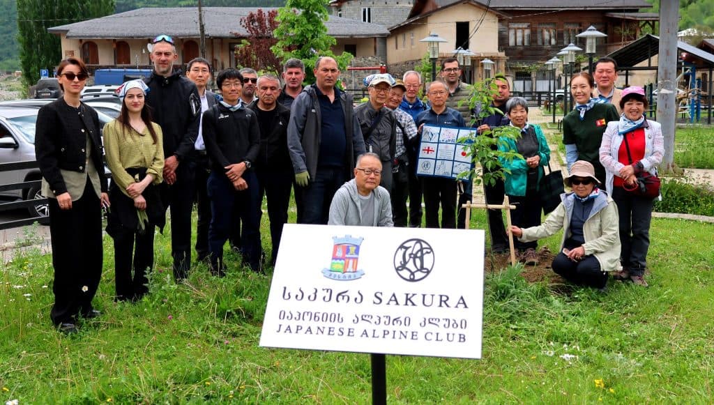 მესტიაში საკურები დარგეს - image 4