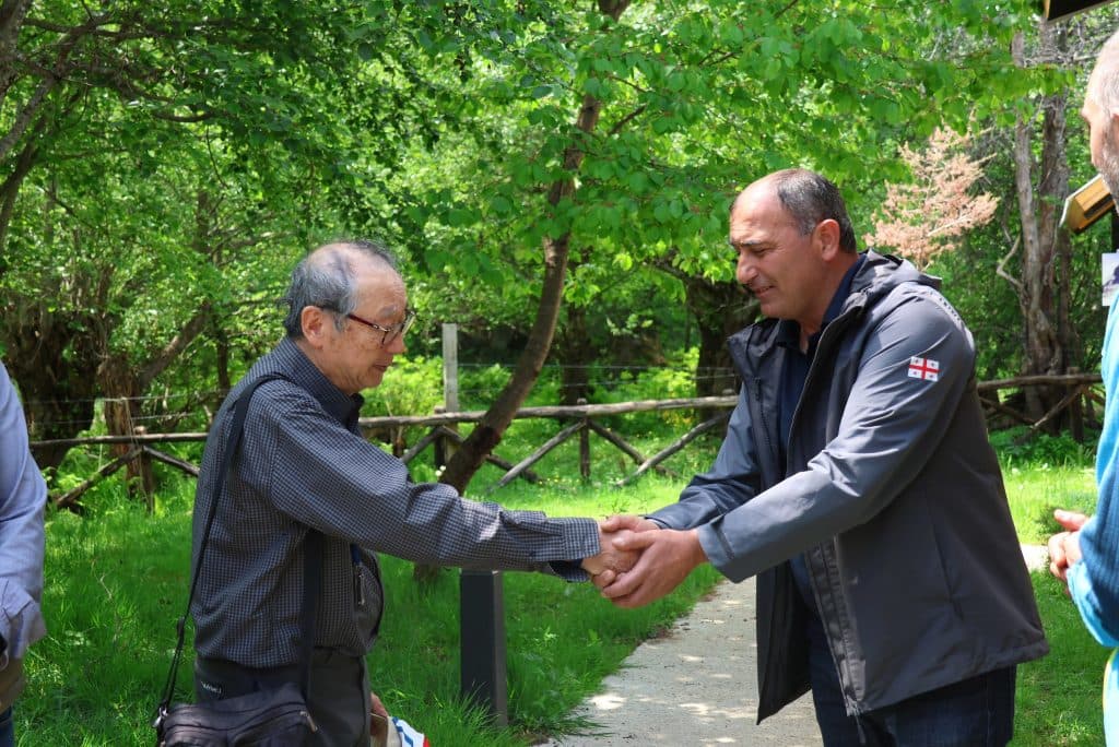 მესტიაში საკურები დარგეს - image 3