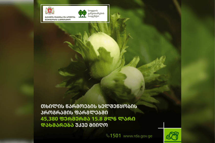 თხილის წარმოების ხელშეწყობის სახელმწიფო პროგრამის ფარგლებში, 45,380 ფერმერმა 15.8 მლნ ლარი დახმარება უკვე მიიღო