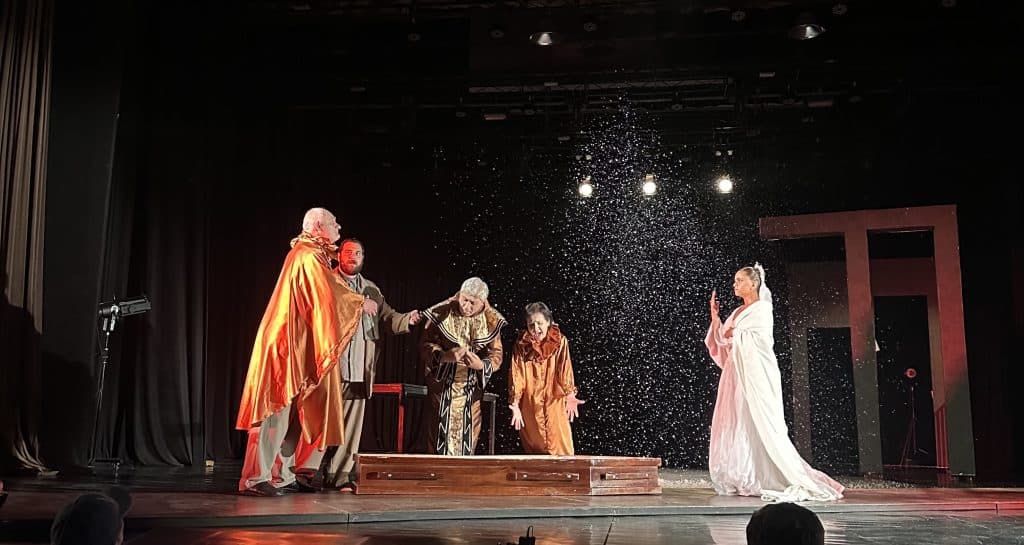 ,,ბილეთი უკანასკნელი წარმოდგენისთვის” – ზუგდიდის თეატრი მაყურებლის წინაშე პრემიერით წარდგა [ფოტო] - image 10