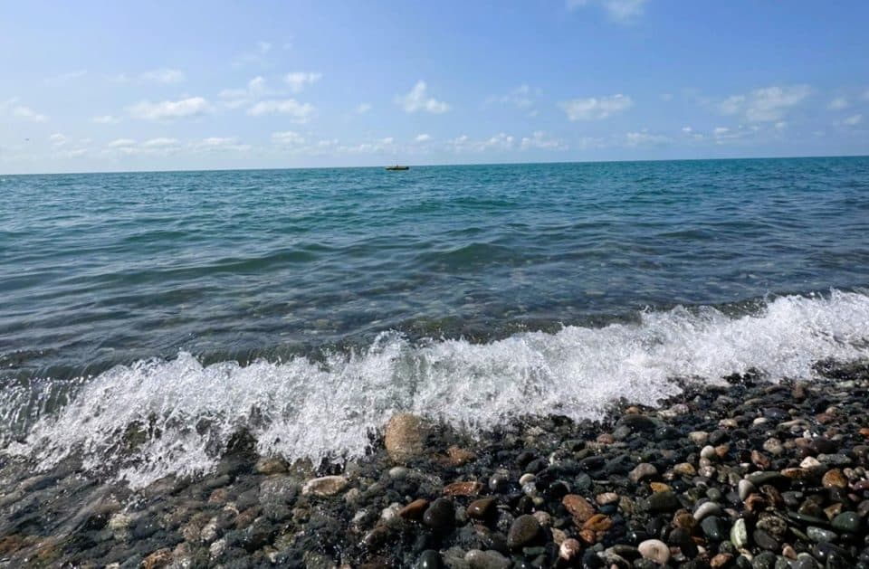 გარემოს ეროვნული სააგენტო: შავი ზღვის წყლის ხარისხი საქართველოს სანაპიროს მთელ პერიმეტრზე ნორმის ფარგლებშია