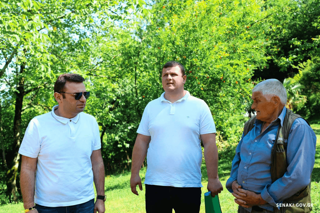 სენაკში არნოლდ ჩიქობავას სახლ-მუზეუმის რეაბილიტაცია მიმდინარეობს - image 3