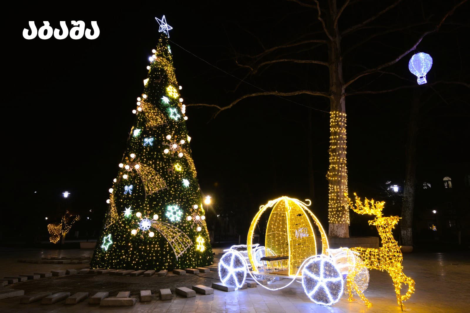 ნაძვის ხეები სამეგრელო-ზემო სვანეთის მხარეში - image 2