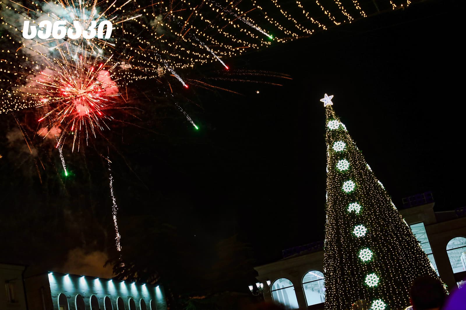 ნაძვის ხეები სამეგრელო-ზემო სვანეთის მხარეში - image 6