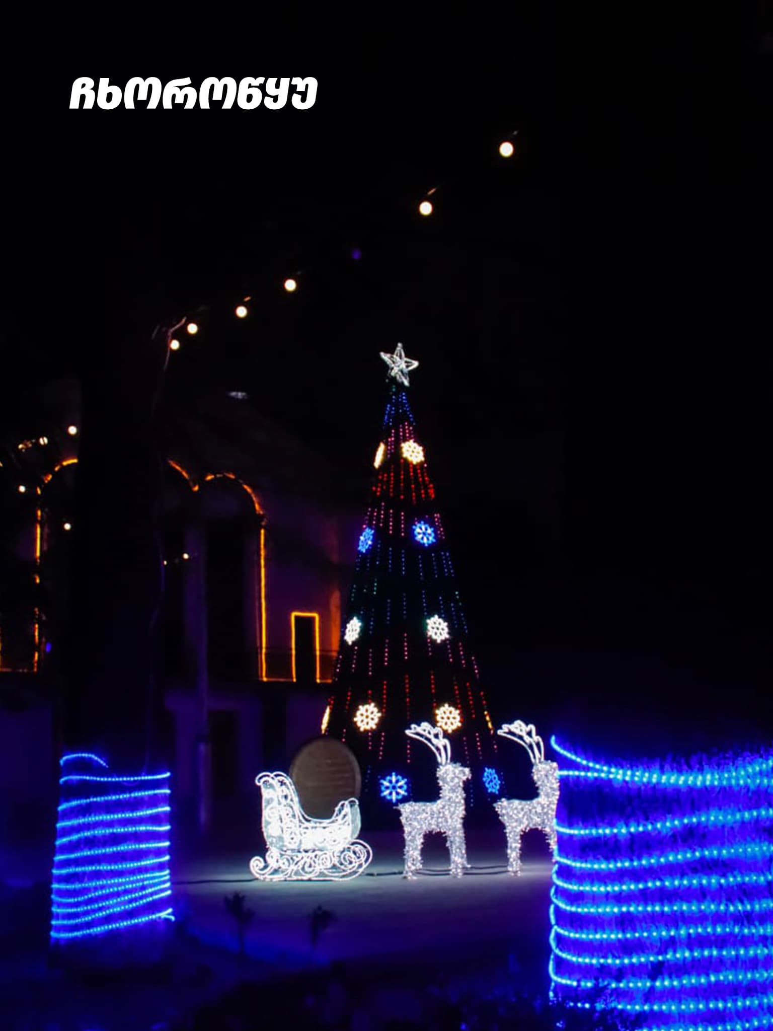 ნაძვის ხეები სამეგრელო-ზემო სვანეთის მხარეში - image 8