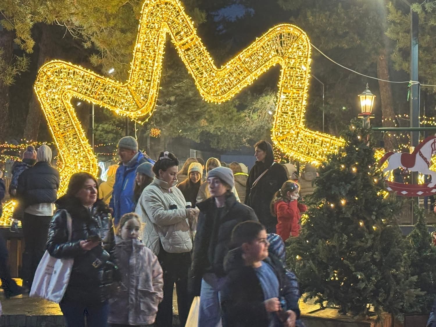 მესტიაში წინასაახალწლო ღონისძიება გაიმართა - image 2