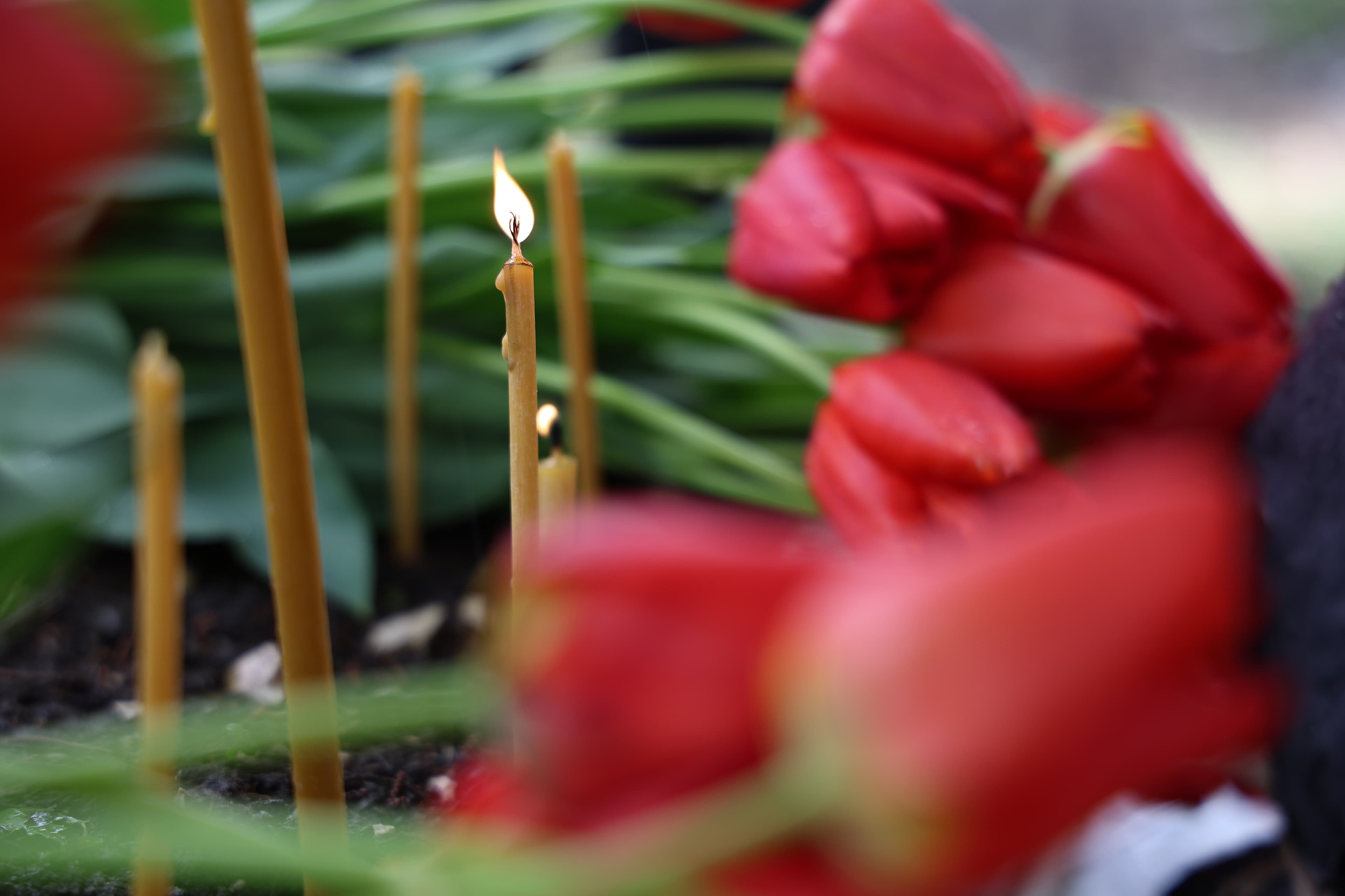 ზუგდიდში 9 აპრილს დაღუპულთა მემორიალი ხელისუფლების წარმომადგენლება გვირგვინით შეამკეს  - image 5