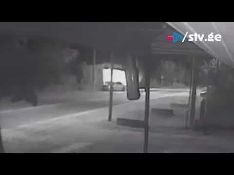 სოფელ ცაცხვში, ერთ-ერთ სუპერმარკეტს ე.წ “მოლოტოვის კოქტეილი” ესროლეს