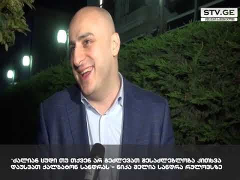 მელია რულოვსს ზუგდიდში გამართული დახურული შეხვედრების გამო აკრიტიკებს [ვიდეო]