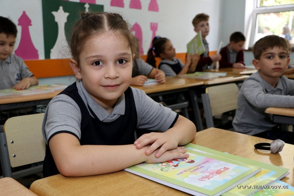 სენაკის მუნიციპალიტეტის 20 საჯარო და 6 კერძო სკოლაში, სასწავლო პროცესი განახლდა