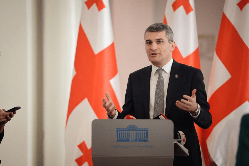 მამუკა მდინარაძე საპარლამენტო ოპოზიციაზე: ხალხს ღამე გაათენებინეს და თვითონ შენობაში შესულებმა დაიძინეს – კომიტეტს ვერ მიუსწრეს