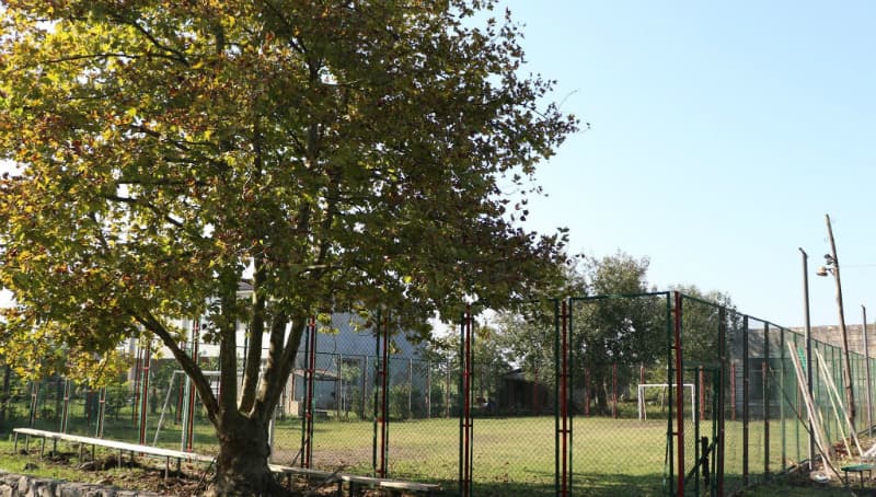 ,,სოფლის მხარდაჭერის პროგრამა“ ჭალადიდის ადმინისტრაციულ ერთეულში