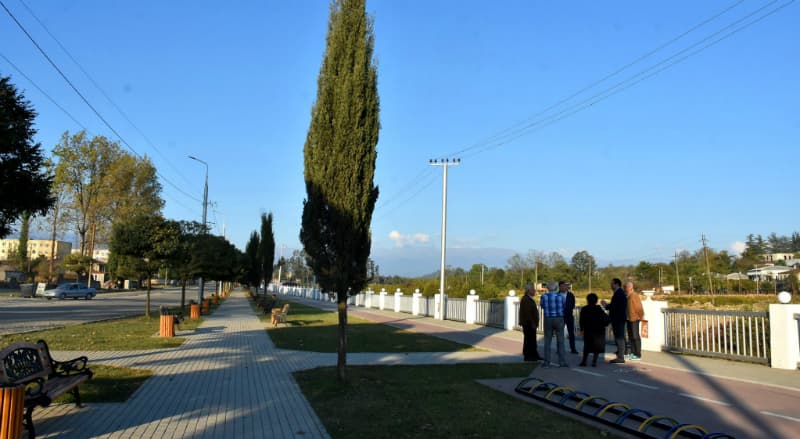 ალექსანდრე მოწერელიას ინივციატივით, ნოემბრის თვეში რეგიონის მაშტაბით გამწვანების აქცია გაიმართება